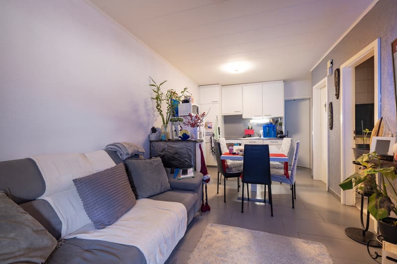 Two rented ground-floor apartments with terrace and parking (8)