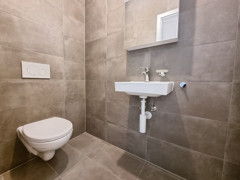 Apartment with 2.5 rooms and terrace-garden (4)