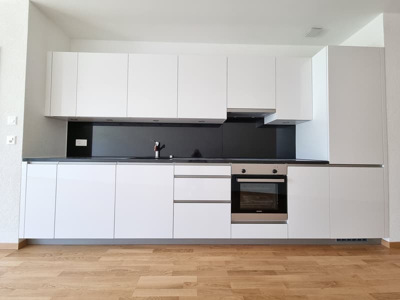 Apartment with 2.5 rooms and terrace-garden (5)