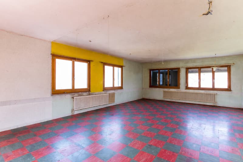 Large villa to renovate/transform for multiple projects (12)