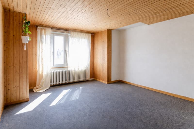 Large villa to renovate/transform for multiple projects (2)