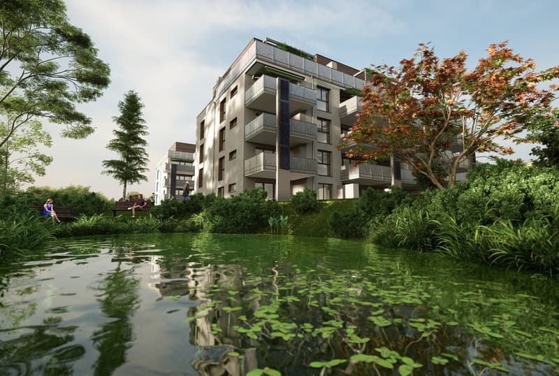 Parc du Moulin - Appartement 3.5 pces - Lot E03 (3)