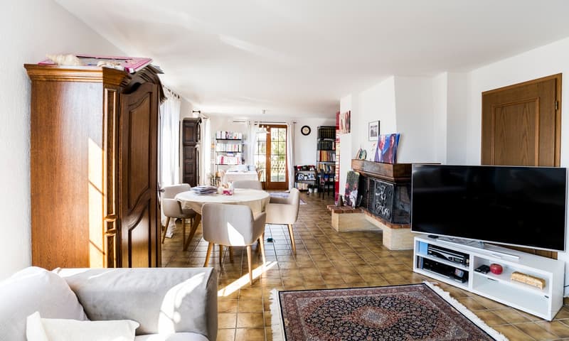 Large villa with 6.5 rooms (2)
