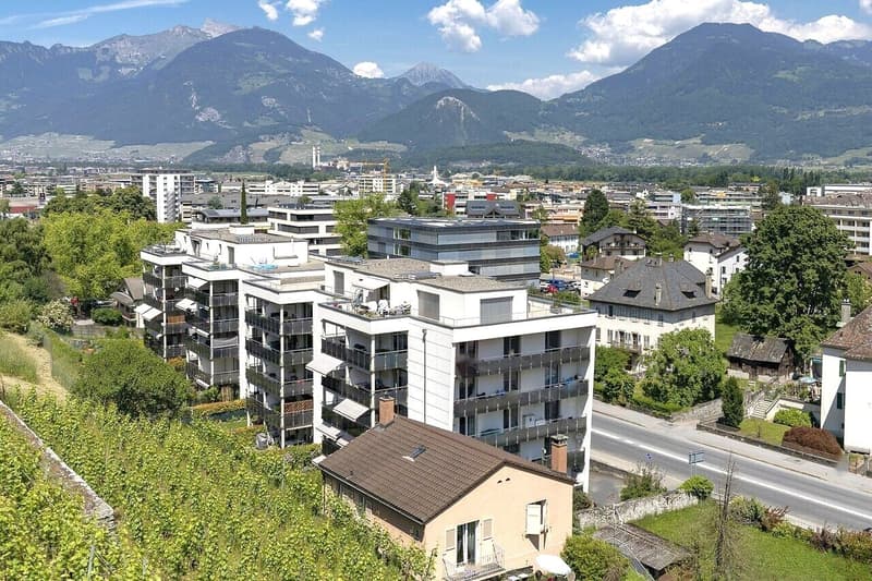 Appartamento traversante di 4.5 locali con giardino (10)