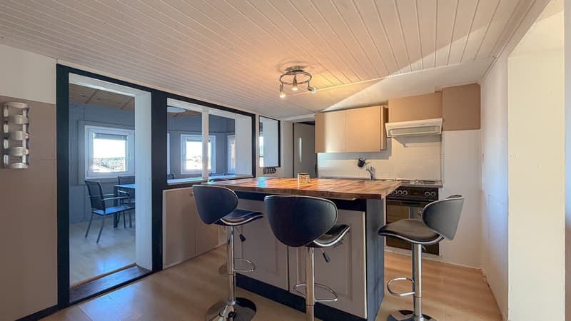 Small rental property with 2 apartments, garage and parking spaces (7)
