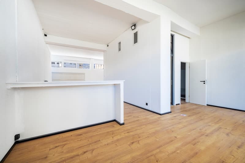 COMMERCIAL PREMISES IDEALLY LOCATED NEXT TO PLACE DE ROME (8)