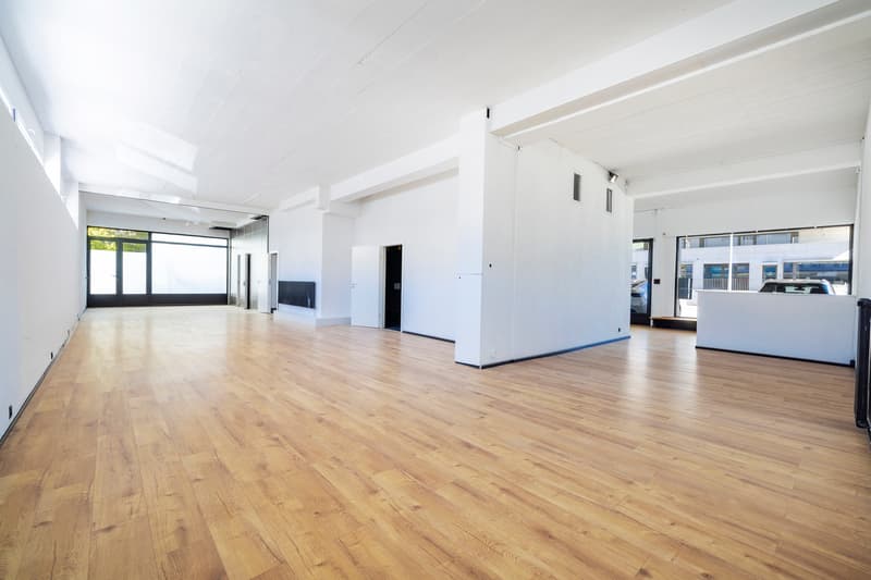 COMMERCIAL PREMISES IDEALLY LOCATED NEXT TO PLACE DE ROME (2)