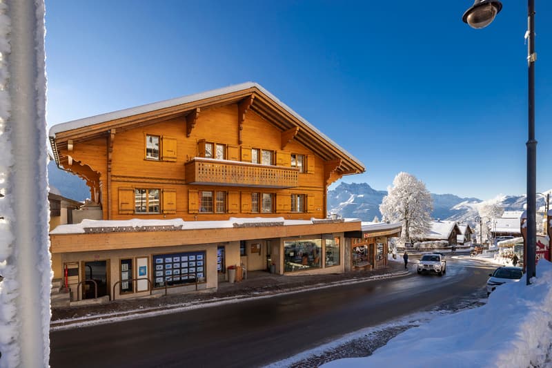 Charming chalet-style apartment with fireplace in the village center! (4)
