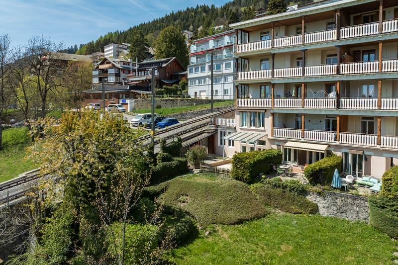 Le Roselier - 3,5 locali ristrutturati con terrazza a sud, vicino alla stazione (13)