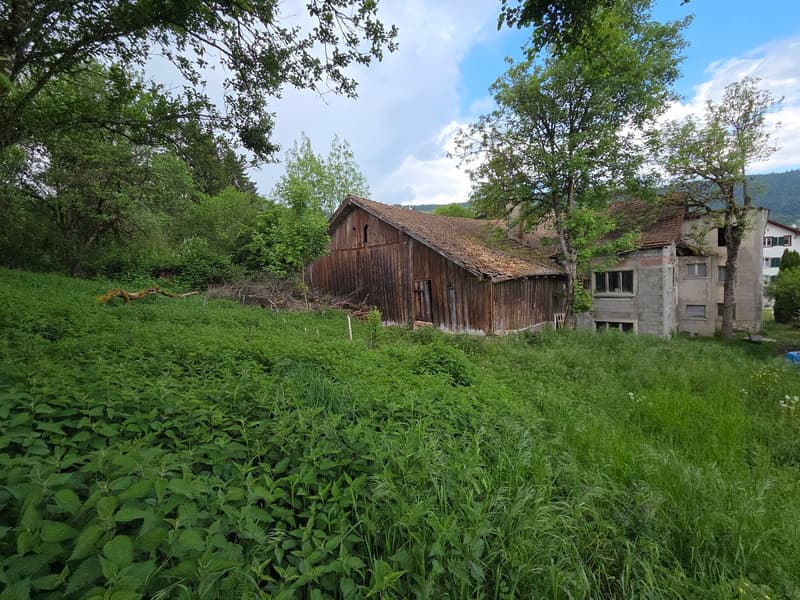 Plot of two buildings on 2'583 m2 of constructible land (10)