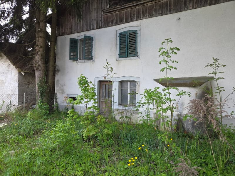 Plot of two buildings on 2'583 m2 of constructible land (3)