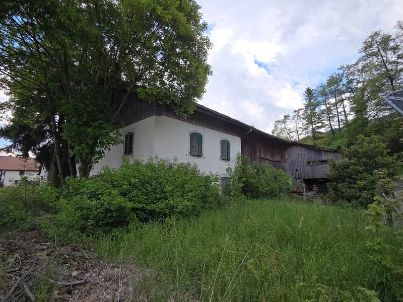 Plot of two buildings on 2'583 m2 of constructible land (5)