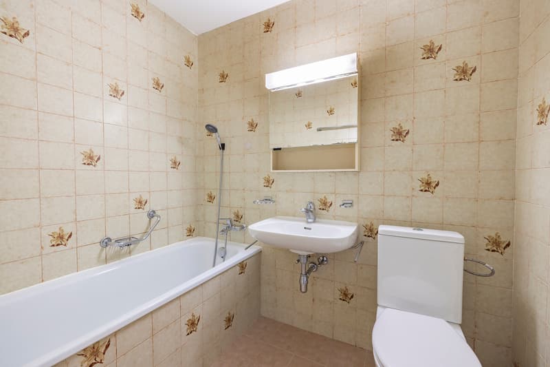 4.5 rooms rented with immediate income - Two parking spaces included (8)
