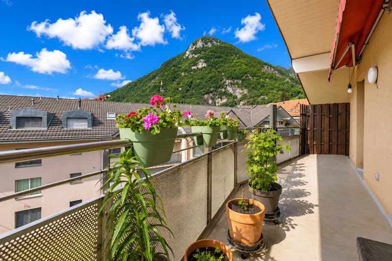 Bello appartamento mansardato di 3.5 locali (4)