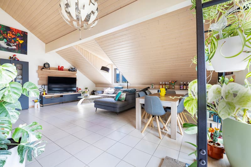 Bel appartement mansardé de 3.5 pièces (3)