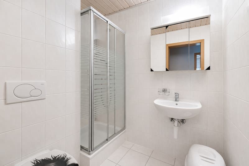 Attic with 4.5 rooms in the city center (10)