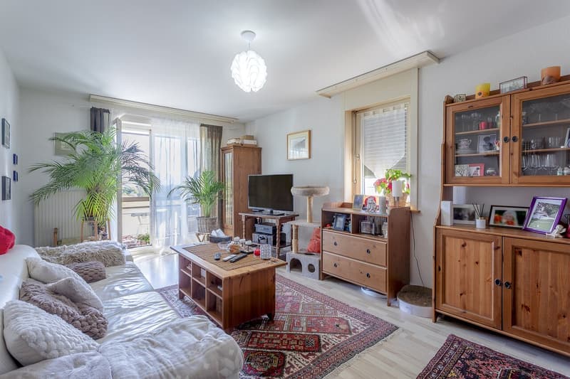 Apartment 3.5 rooms with garage, south-facing balcony and unobstructed view (3)