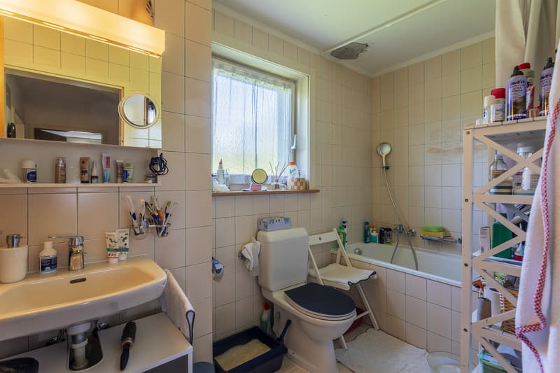 Apartment 3.5 rooms with garage, south-facing balcony and unobstructed view (6)