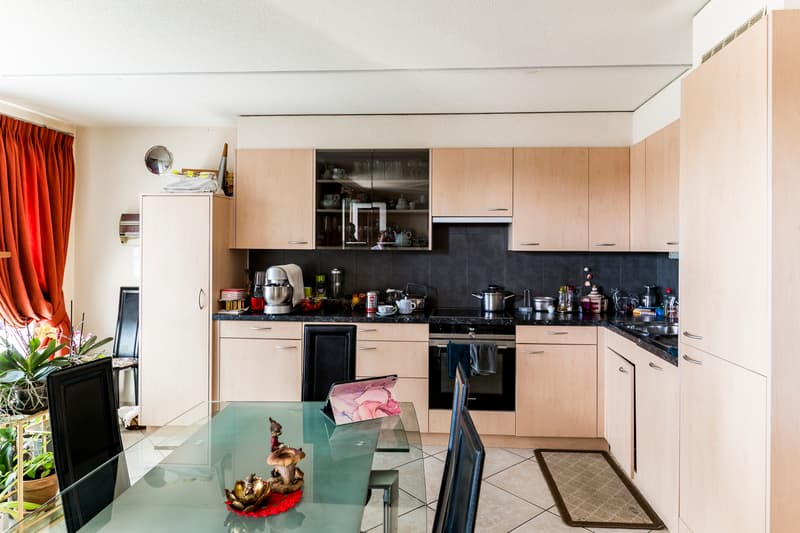 Apartment with 4.5 rooms and south-facing balcony (4)