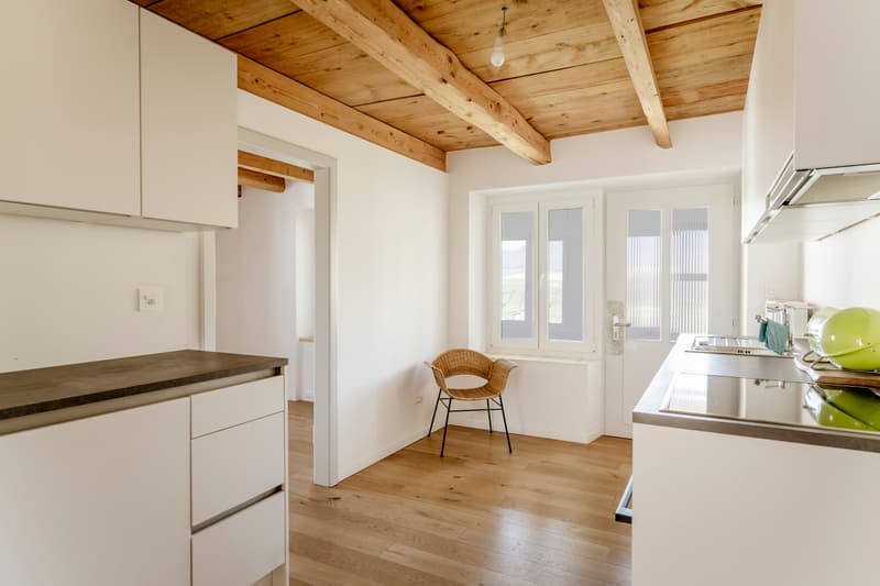 Authenticité et rénovation de qualité supérieure (7)