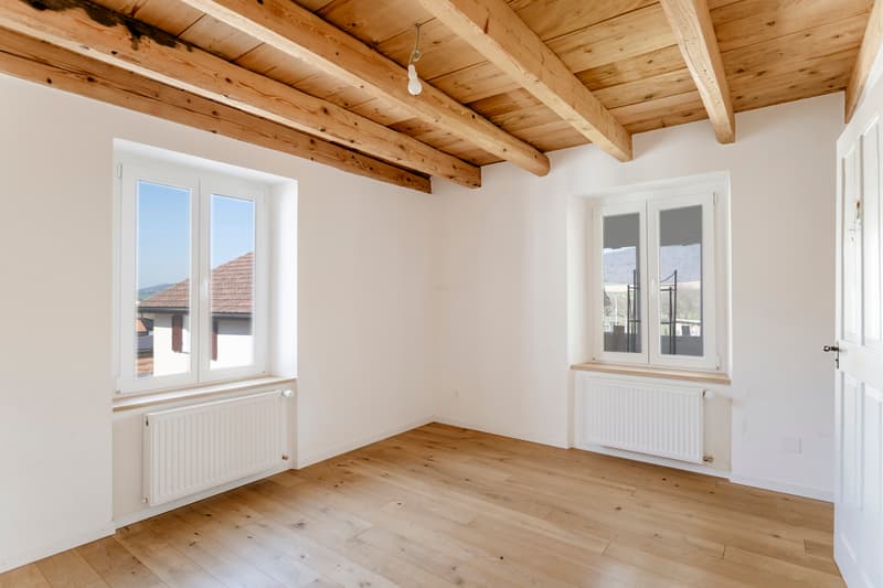 Authenticité et rénovation de qualité supérieure (8)