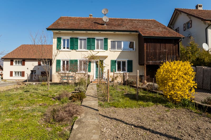 Authenticité et rénovation de qualité supérieure (2)