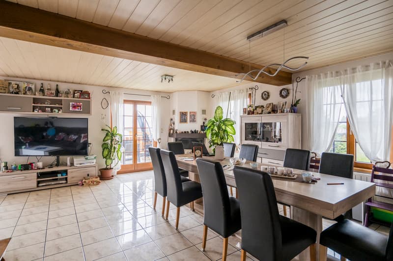 Molto bella situazione per questa casa di 6.5 locali (2)