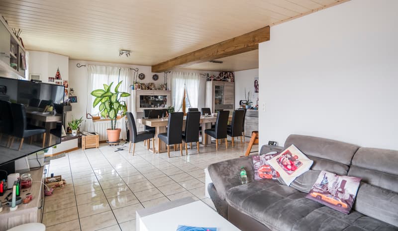 Molto bella situazione per questa casa di 6.5 locali (4)