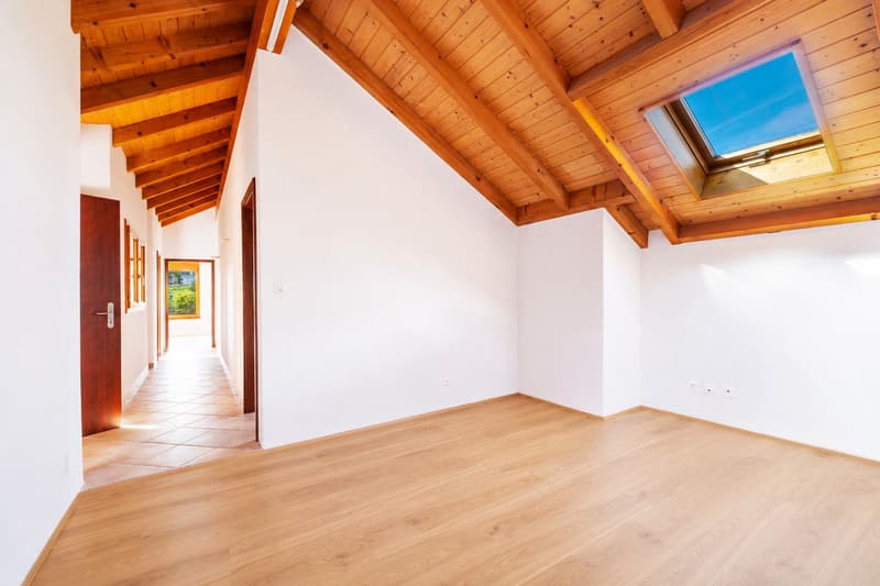 Exceptional 9.5-room villa - Lake and mountain views on the Riviera (13)