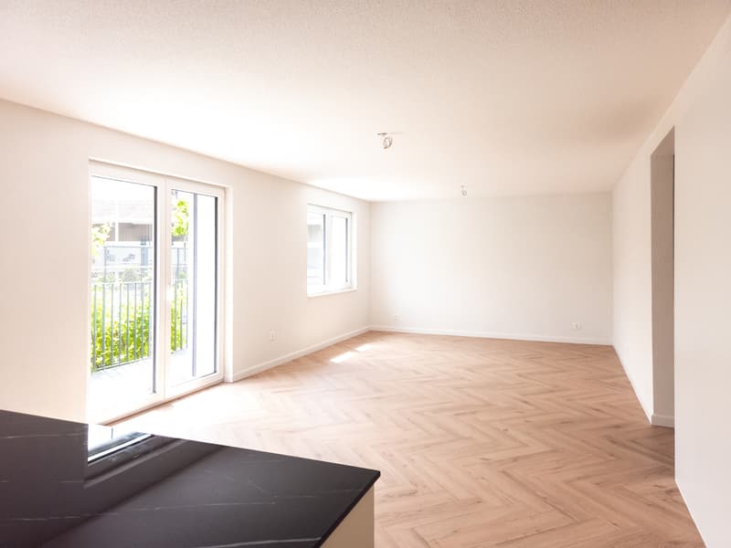 Large fully renovated villa of 7.5 rooms (3)