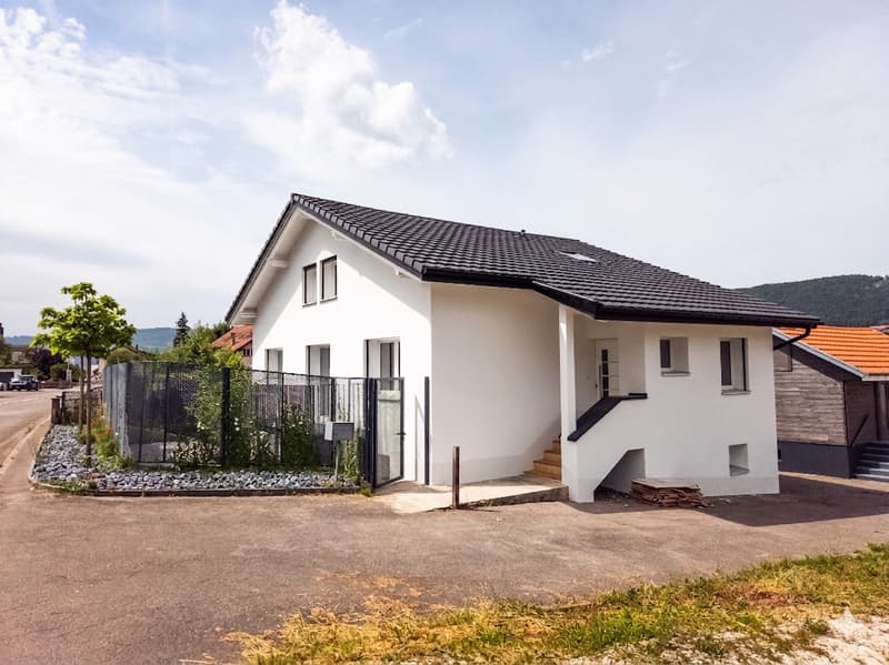 Large fully renovated villa of 7.5 rooms (1)