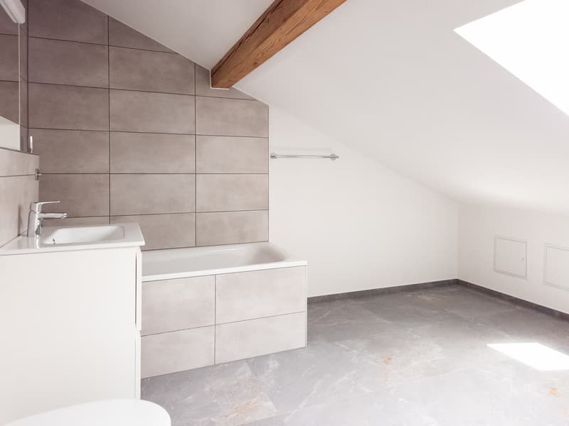 Large fully renovated villa of 7.5 rooms (9)