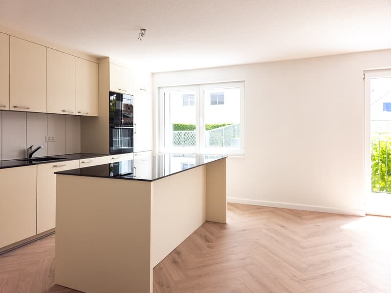 Large fully renovated villa of 7.5 rooms (5)