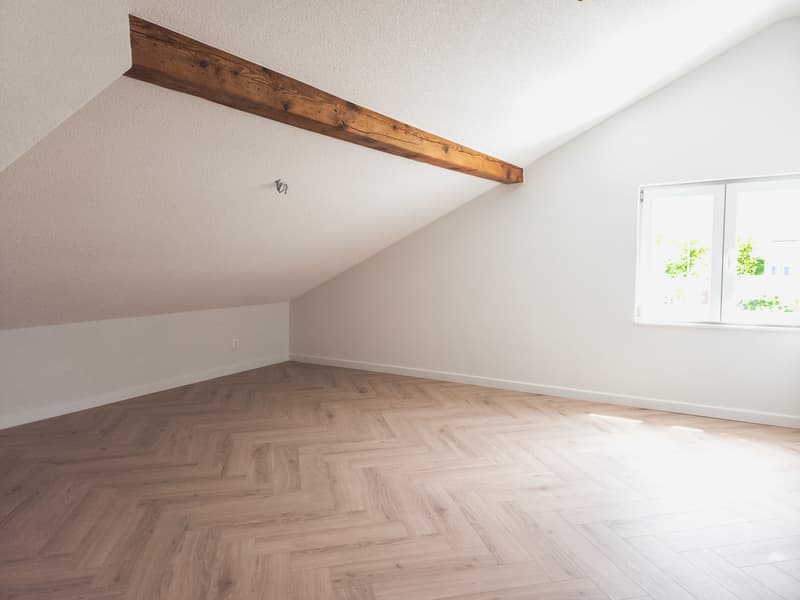 Large fully renovated villa of 7.5 rooms (8)