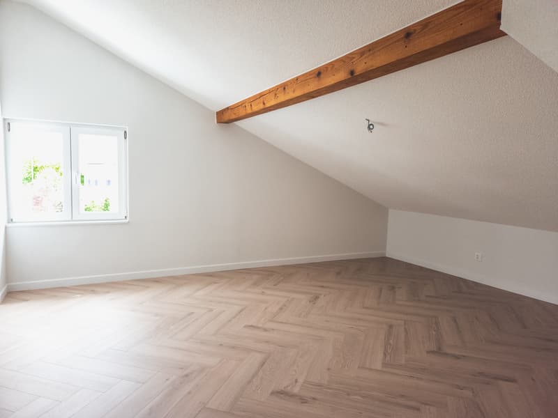 Large fully renovated villa of 7.5 rooms (7)