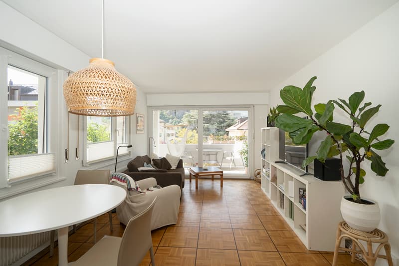 Bright 4.5-room apartment in the privileged Platta neighborhood (2)