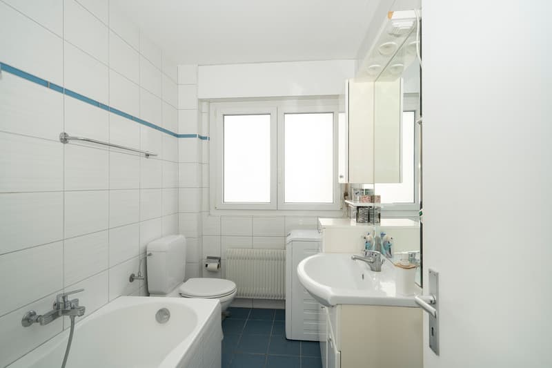 Bright 4.5-room apartment in the privileged Platta neighborhood (6)