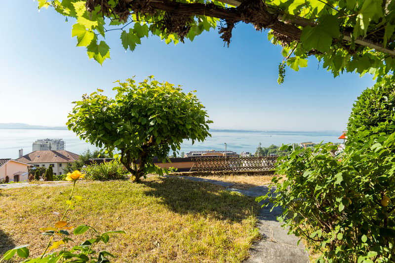 Blick auf den See und die Alpen für diese 7,5-Zimmer-Villa (11)