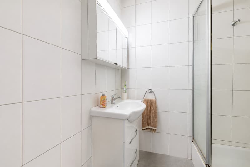 3 rooms ground floor apartment already rented with terrace - Lot n2 (5)