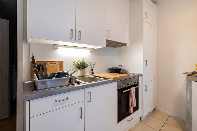 3 rooms ground floor apartment already rented with terrace - Lot n2 (2)