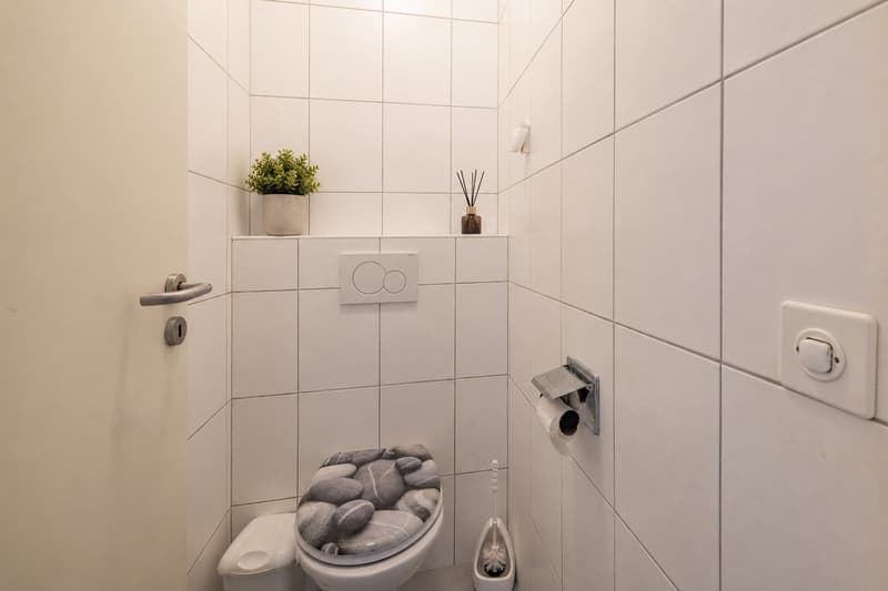 3 rooms ground floor apartment already rented with terrace - Lot n2 (6)