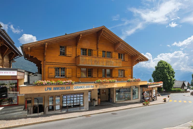 Charming chalet-style apartment with fireplace in the village center! (4)