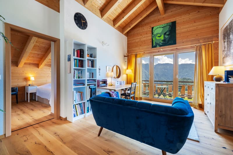Exceptional chalet in a green and quiet neighborhood (10)