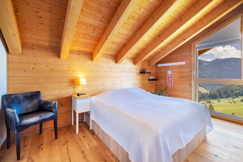 Exceptional chalet in a green and quiet neighborhood (12)