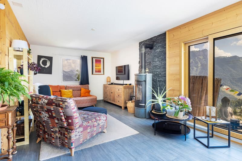 Exceptional chalet in a green and quiet neighborhood (4)