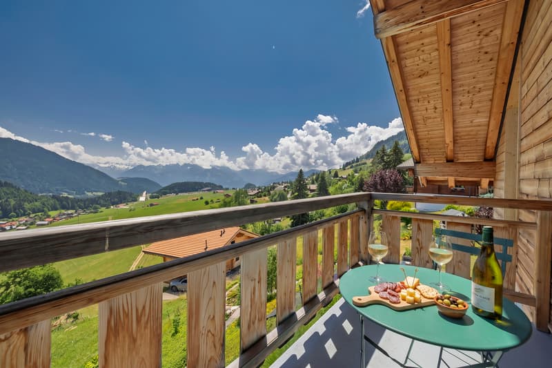 Exceptional chalet in a green and quiet neighborhood (11)
