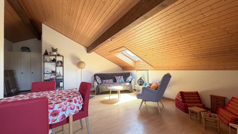 2.5 Room Apartment on the Top Floor with Balcony and Garage (4)