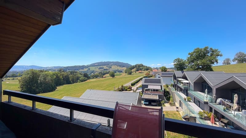 2.5 Room Apartment on the Top Floor with Balcony and Garage (6)