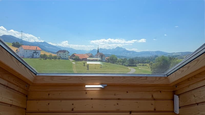 2.5 Room Apartment on the Top Floor with Balcony and Garage (5)