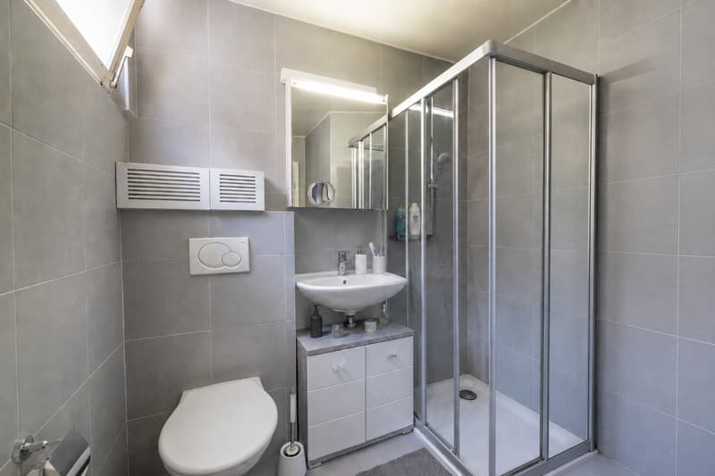 Small rental building, fully leased, 20 minutes from Verbier (12)